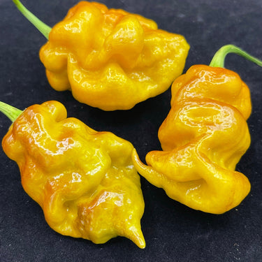 Flaming Nougat - Seeds - The Pepper Pantry (Formerly Marie Sharp's)